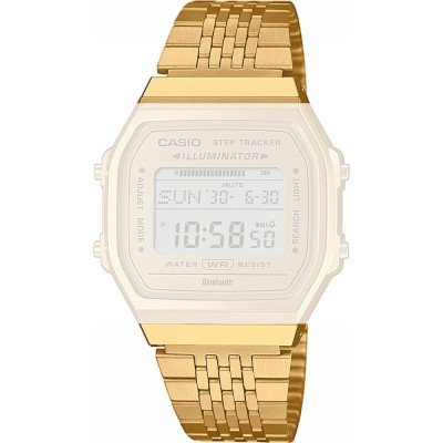 Casio 10673142 Vintage Band
