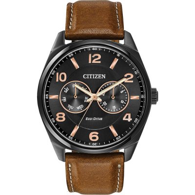 Citizen AO9025-05E Uhr