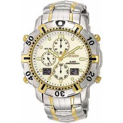 Citizen JN3004-55A Uhr