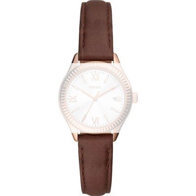 Fossil ABQ3748 Rye Band