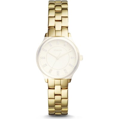 Fossil Straps ABQ1573 BQ1573 Modern Sophisticate Band