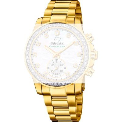 Jaguar BA04681 Hybrid Connected Band