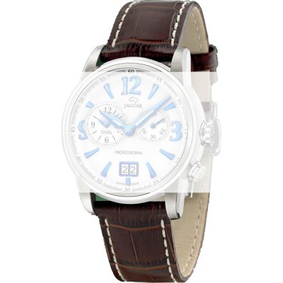 Jaguar BC05914 J619 Band