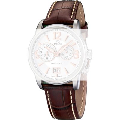 Jaguar BC05915 J619 Band