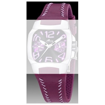 Lotus Straps BC05981 15508/7 Band