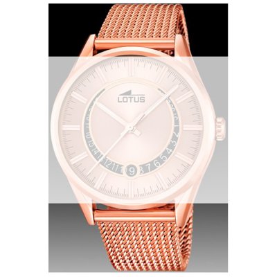 Lotus Straps BA03445 15977 Band
