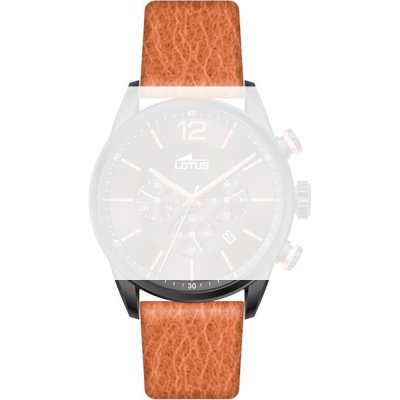 Lotus Straps BC10776 18687/2 Band