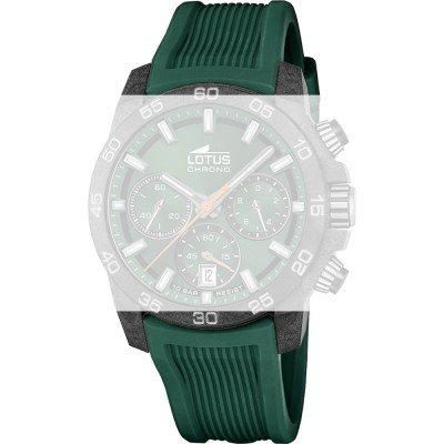 Lotus BC11773 Carbon Band