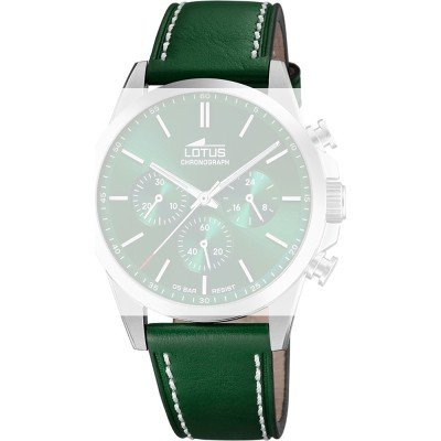 Lotus BC11859 Archive Band