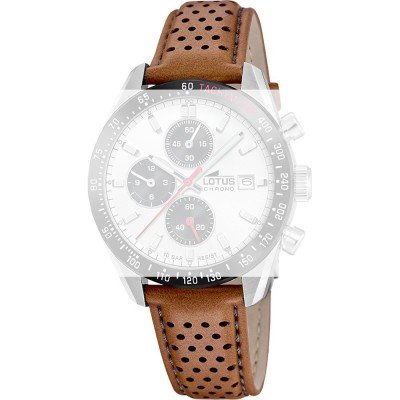 Lotus BC11876 Archive Band
