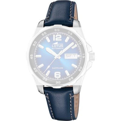 Lotus BC11881 Archive Band