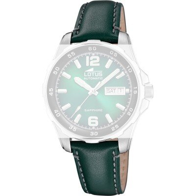 Lotus BC11882 Archive Band
