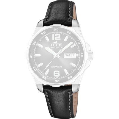 Lotus BC11883 Archive Band