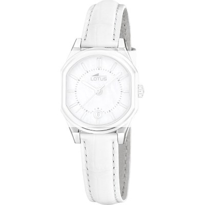 Lotus BC12013 Old Money Band