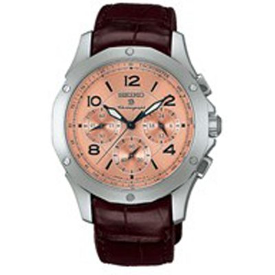 Seiko SAGJ017 Brightz Uhr
