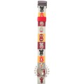 Swatch Plastic  - Pop Medium - PM APMK115 PMK115 Doggy Bag Band