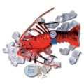 Swatch Packaging Specials PWK181PACK Cruise Set (Langoustine) Uhr