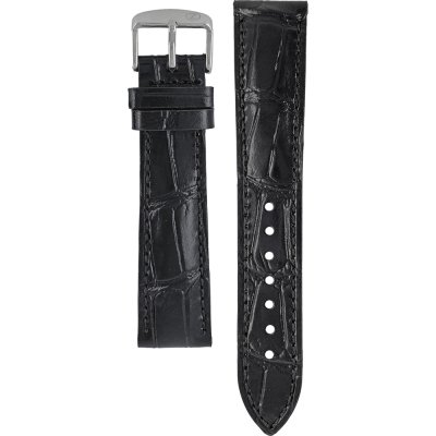 Zeppelin 9L2406013C2018 Friedrichshafen Band