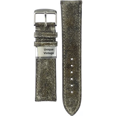 Zeppelin 9LZPALMAS10CN2220 100 Jahre Zeppelin Band